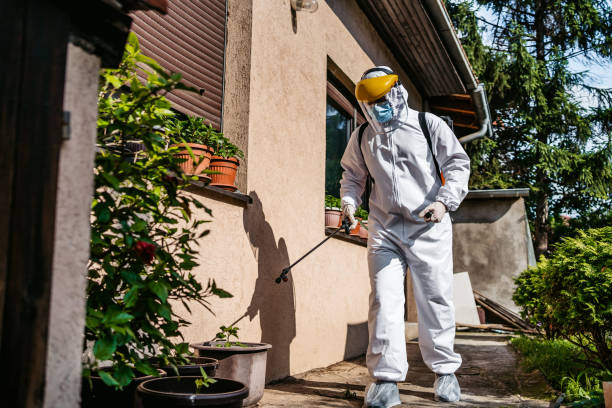 Best Affordable Pest Control Services  in Battle Ground, IN