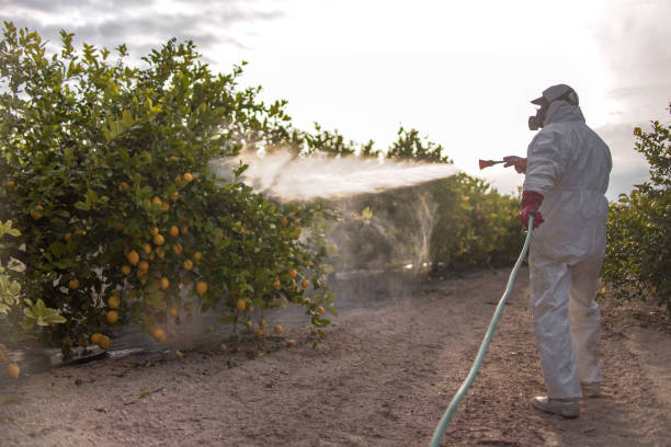 Best Best Pest Control Companies  in Battle Ground, IN