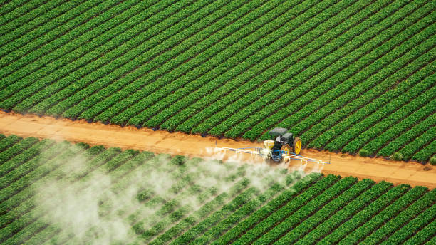 Best Termite Control Services  in Battle Ground, IN