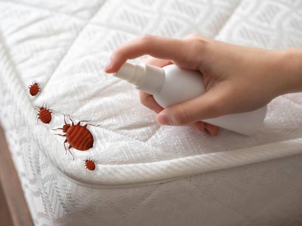 Best Local Pest Control Services  in Battle Ground, IN
