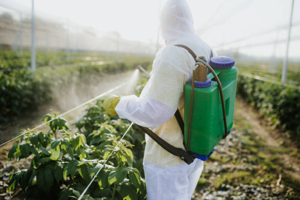 Best Pest Control Near Me  in Battle Ground, IN